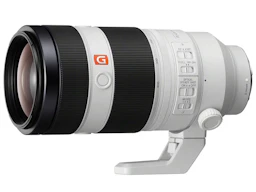 FE 100-400mm F4.5-5.6 GM OSS SEL100400GM