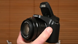 Panasonic LUMIX FZ85D(DC-FZ85D)のズーム性能と手ブレ補正のレビュー