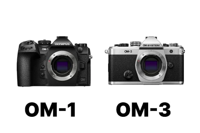 【2026年版】OLYMPUS OM SYSTEM OM-1とOM-3を徹底比較!サイズ・動体性能・表現機能の違い