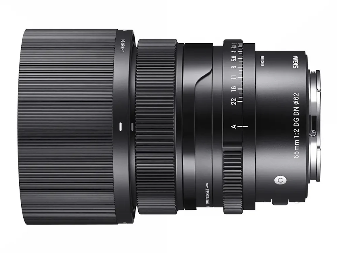 65mm F2 DG DN