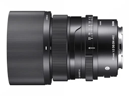 65mm F2 DG DN ソニーE用