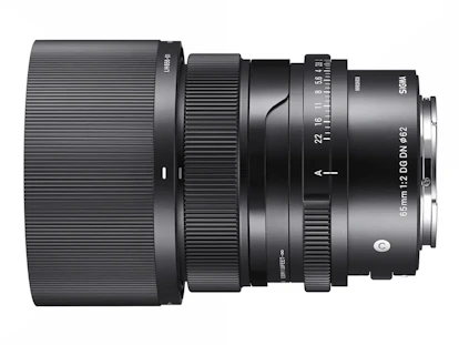 65mm F2 DG DN