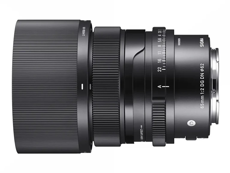 65mm F2 DG DN