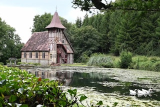 用途別のおすすめ：Z5とZ5IIは“撮りたいもの”で変わる