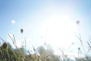 カメラの白飛びとは？原因・補正・対策を完全解説【写真が白くなる理由】