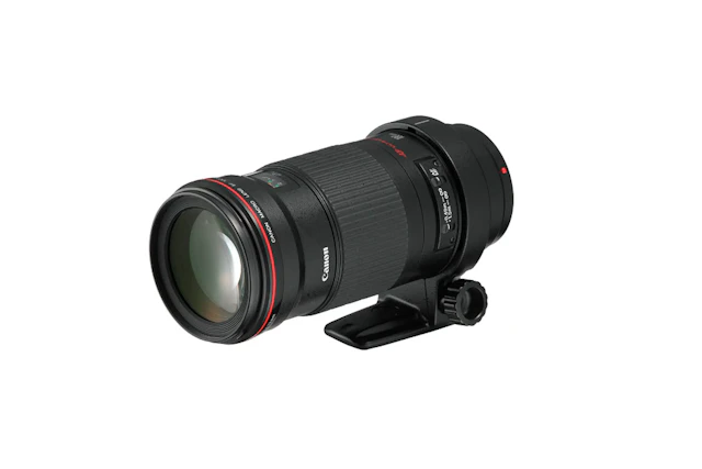 キヤノンの新RFマクロは年内登場?180〜200mm級・F3.5〜4.0の噂を整理
