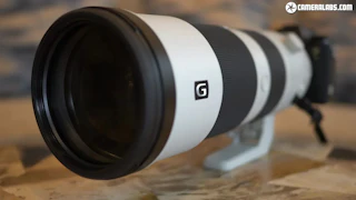 【2026年版】Sony FE 200-600mm F5.6-6.3 G OSS SEL200600Gのレビュー比較まとめ 野鳥・航空機撮影に最適