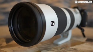 Sony FE 200-600mm F5.6-6.3 G OSS SEL200600Gのレビュー要点