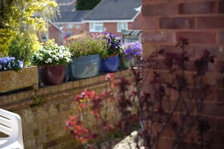 SIGMA(シグマ) fp Lの画質評価(解像・階調・カラー)