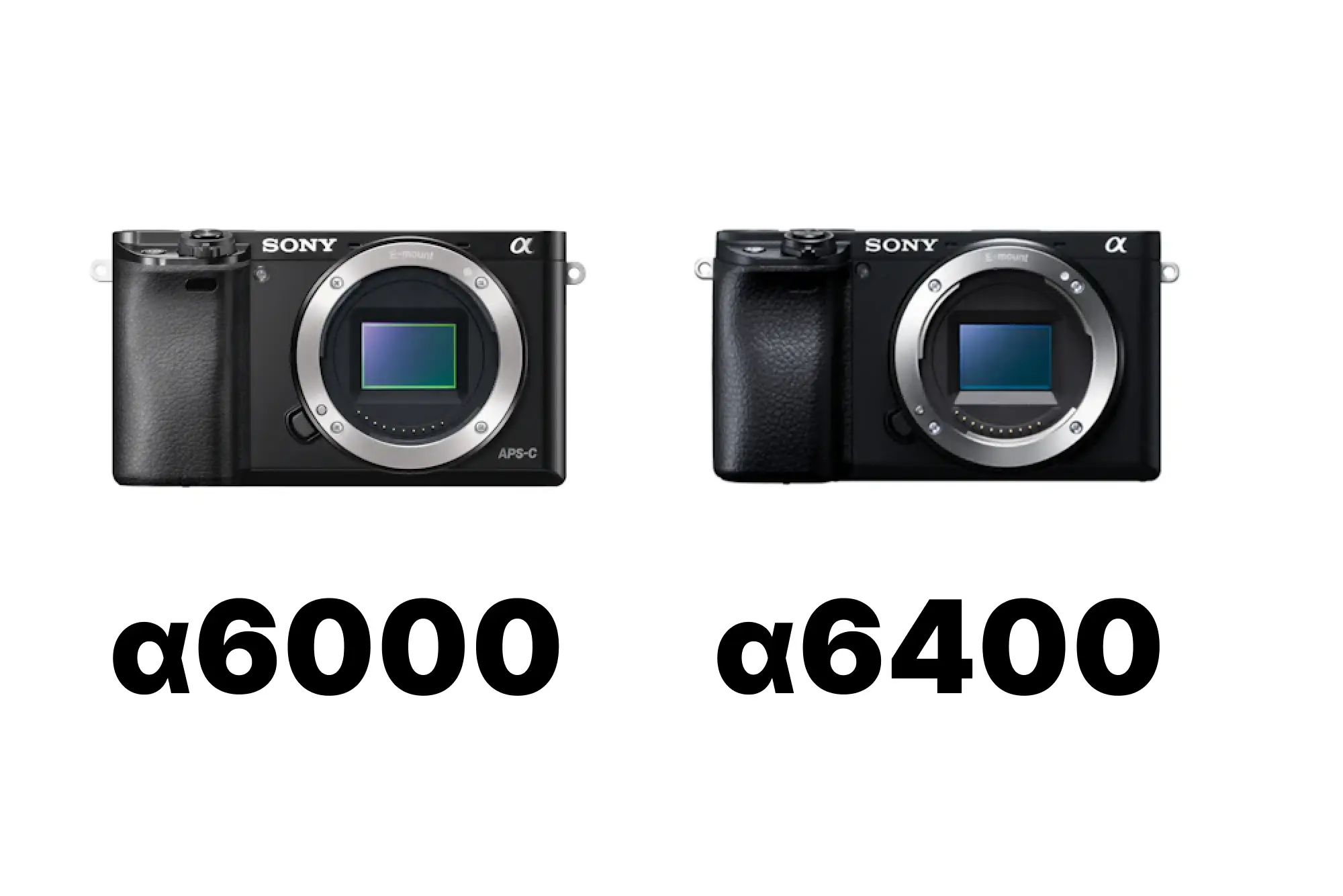 SONYα6000とα6400を徹底比較！写真・AF・動画の違いと、後悔しない 