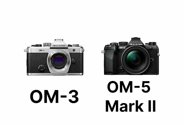 【2026年版】OM SYSTEM OM-3 vs OM-5 Mark IIを比較|AF・動画・軽さで選ぶならどっち?