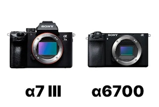 Sony α7IIIとα6700はどちらを選ぶべきか|結論と選び分けの軸を整理