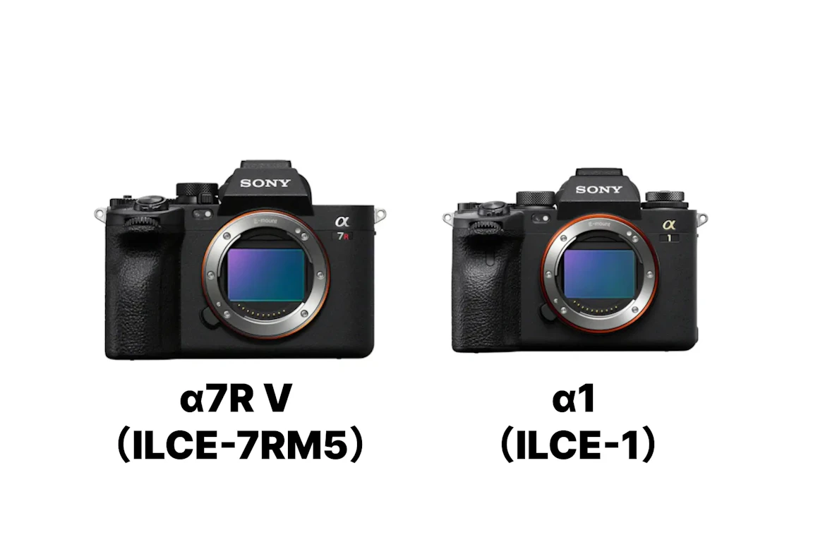 α7R V （ILCE-7RM5）とα1 （ILCE-1）を徹底比較！画質・連写・動画・価格の違いと選び方