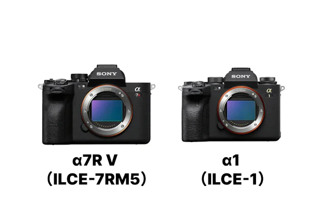 α7R V （ILCE-7RM5）とα1 （ILCE-1）を徹底比較！画質・連写・動画・価格の違いと選び方