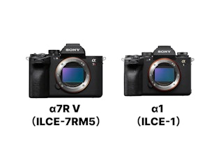 α7R V ILCE-7RM5とα1 ILCE-1はどちらを選ぶべきか