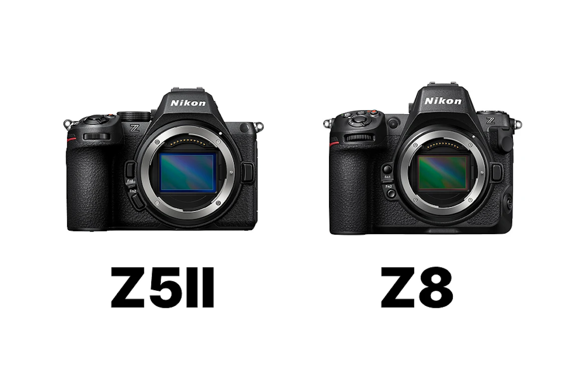 【2026年版】Nikon Z5IIとZ8の比較まとめ!画質・AF・動画・携帯性・価格で「選ぶ理由」がはっきり分かる