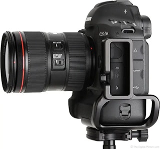 Canon EF 24-105mm F4L IS II USMのAF・MFレビュー（静止画の使いやすさ）