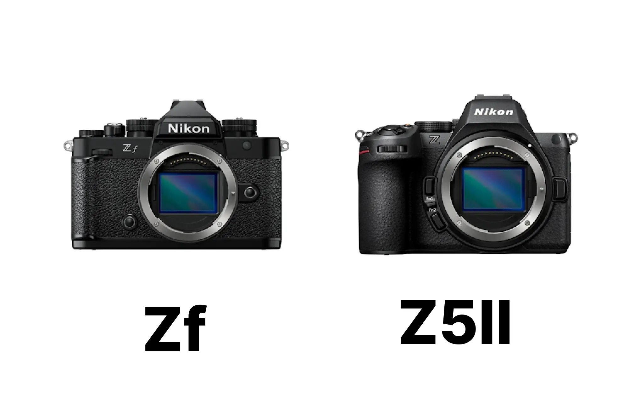 Nikon ZfとNikon Z5IIを徹底比較！どっちを選ぶ？違いを用途別に整理 