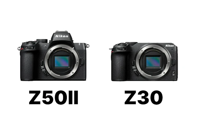 Nikon Z50IIとNikon Z30を徹底比較!EVF・動画・AFの違いから選び方を解説