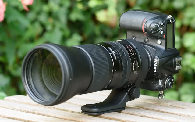 【2026年版】TAMRON SP 150-600mm F/5-6.3 Di VC USD G2のレビュー比較まとめ 野鳥・動物撮影に最適