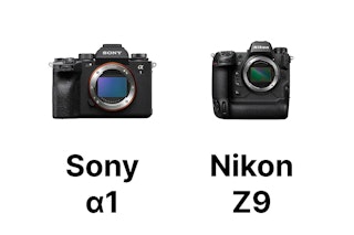 【2026年版】Sony α1とNikon Z9を徹底比較!静止画・動画・AF・携帯性の違いと選び方