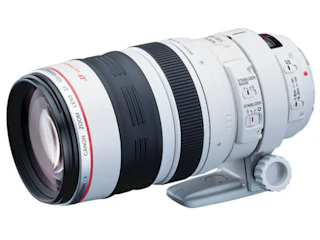 Canon EF 100-400mm F4.5-5.6L IS USM