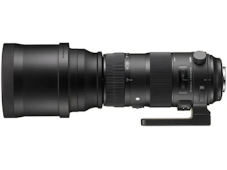 シグマ 150-600mm F5-6.3 DG OS HSM Sports ニコン用