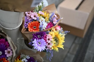 Nikon ZfのAF性能と手ブレ補正（フォーカスポイントVR）のレビュー