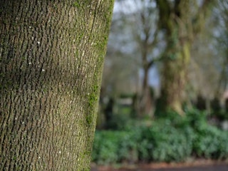 FUJIFILM フジノンレンズ GF45-100mmF4 R LM OIS WRのボケ描写・ポートレート適性