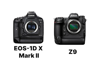 Canon EOS-1D X Mark IIやNikon Z9との違い