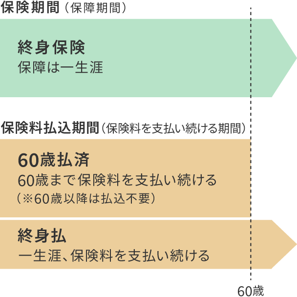 図　終身保険の保険料払込期間の違い（60歳払済と終身払の場合）のイメージ