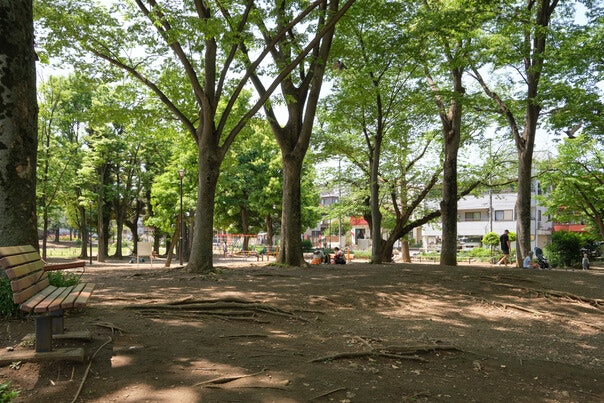 東板橋公園の写真