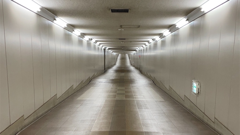 成田空港にある廃墟！？かつての繁栄を忍ばせる謎の東成田で降りてみた