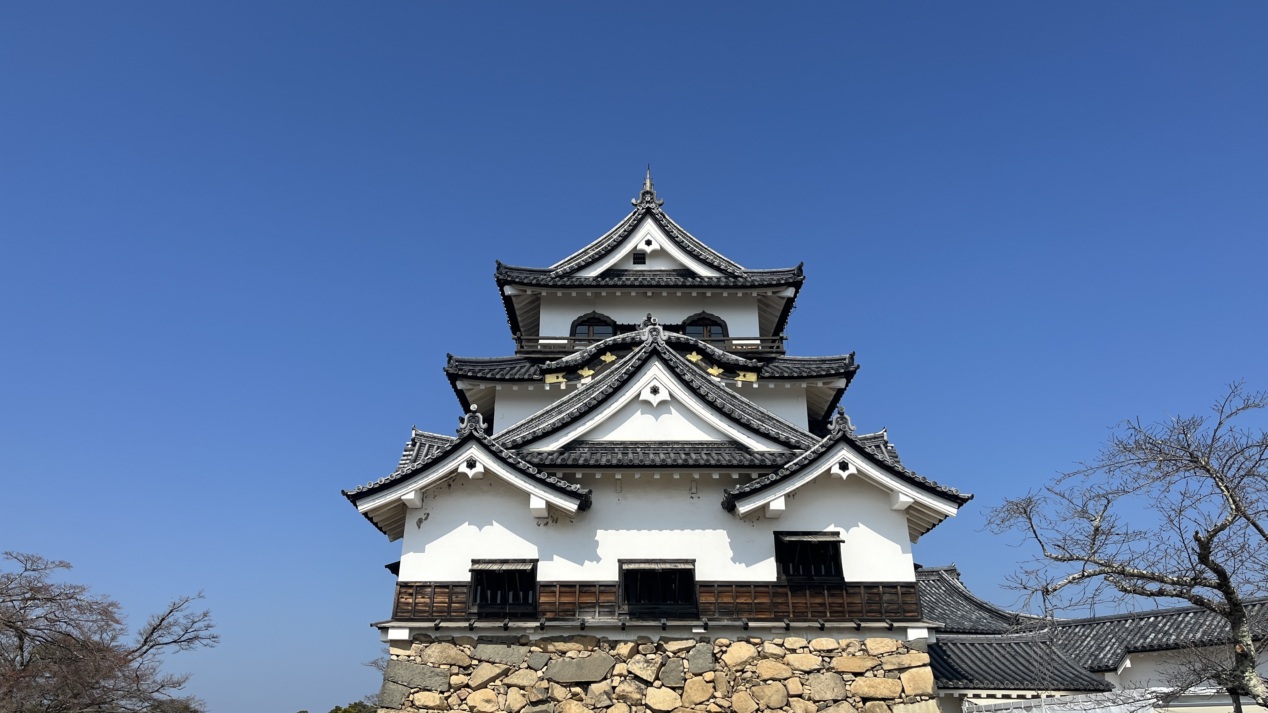 ひこにゃんとサラダパンに会いに行く滋賀県琵琶湖東エリアのゆるり旅