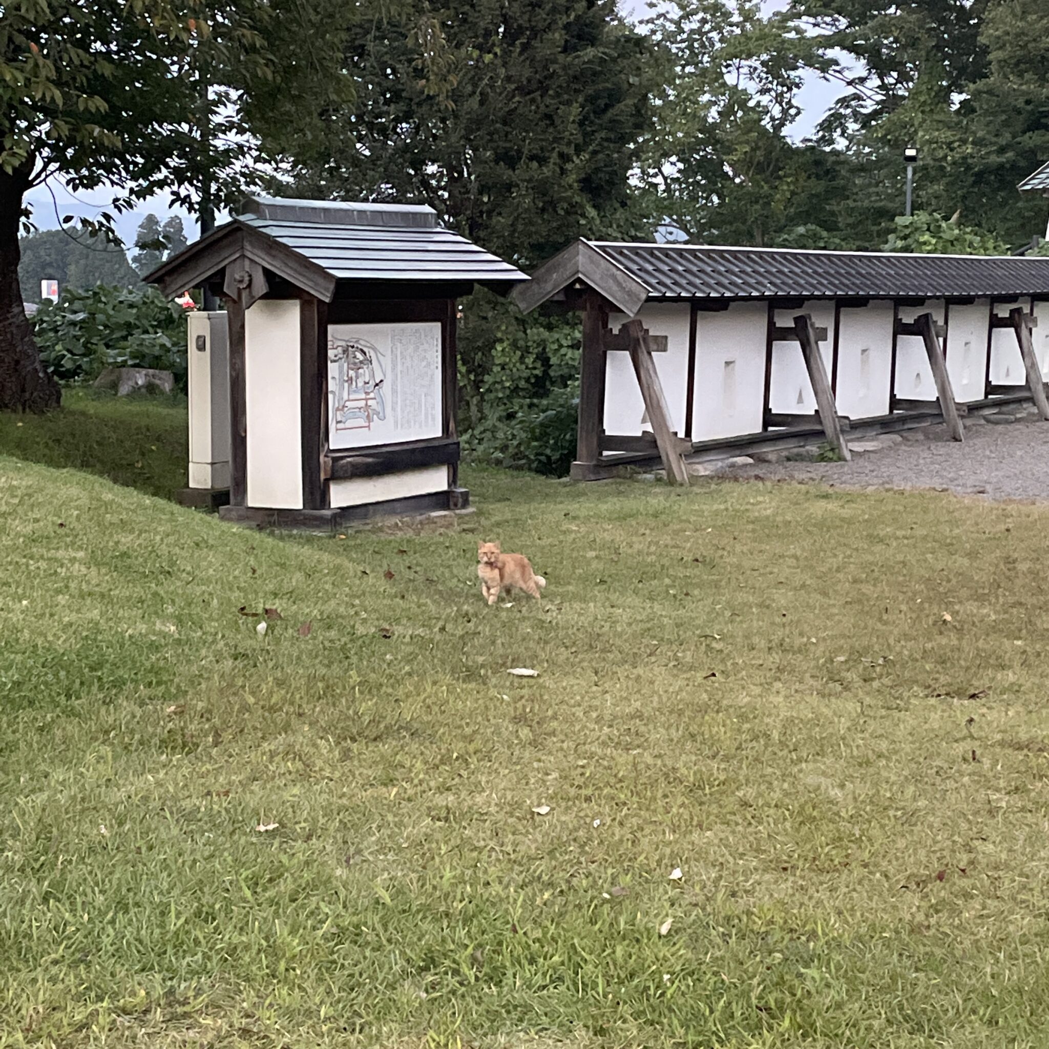 ニャン部藩の門番