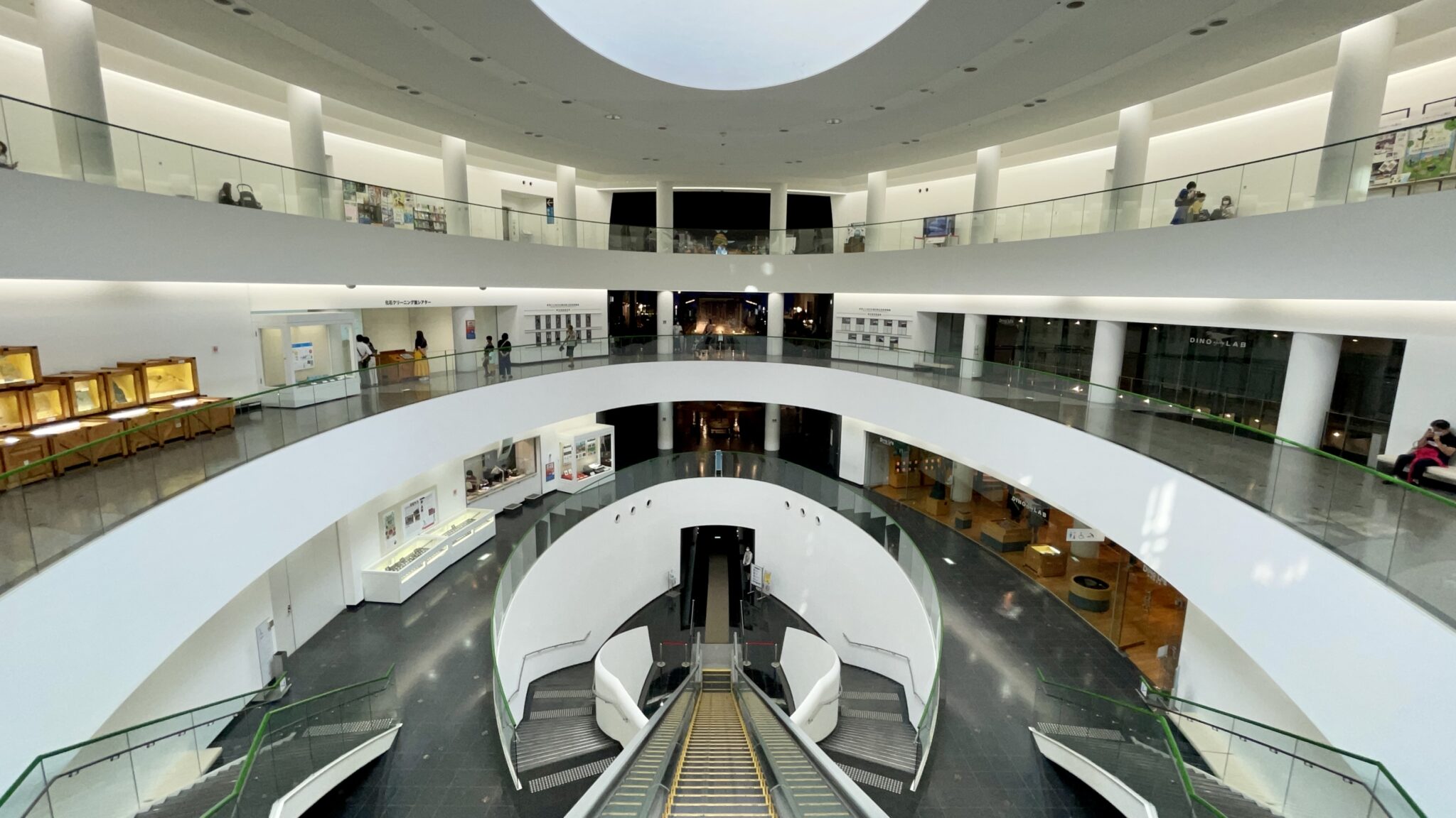 恐竜博物館で出会った福井生まれの恐竜たちと230枚もの天井画の飾られた永平寺をめぐる福井旅行