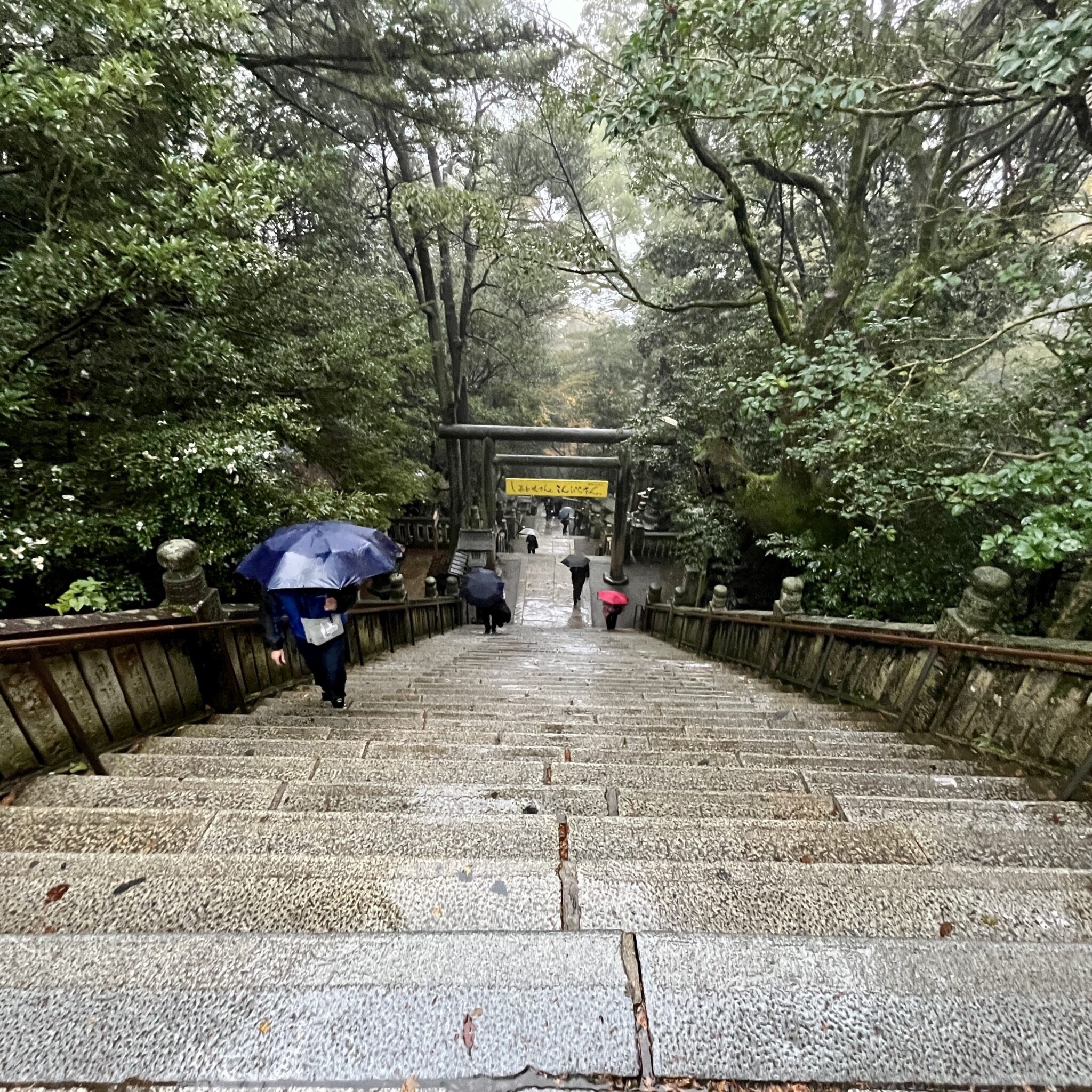 金比羅宮は何段？本宮まで785段・奥社まで1368段の参拝へ近辺のうどんも楽しもう