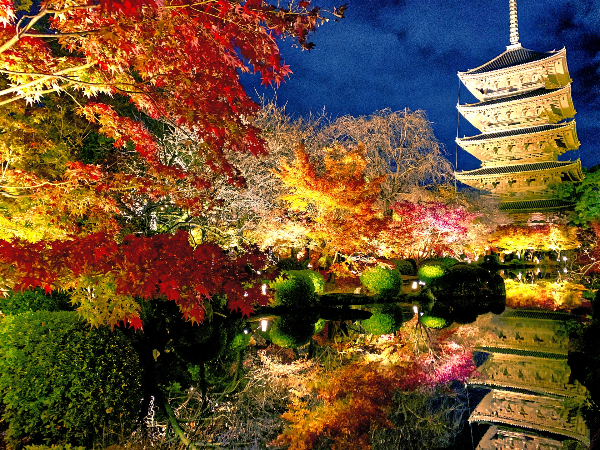 2025年版 京都紅葉×夜間貸切拝観｜JR東海ツアーズで特別な夜を