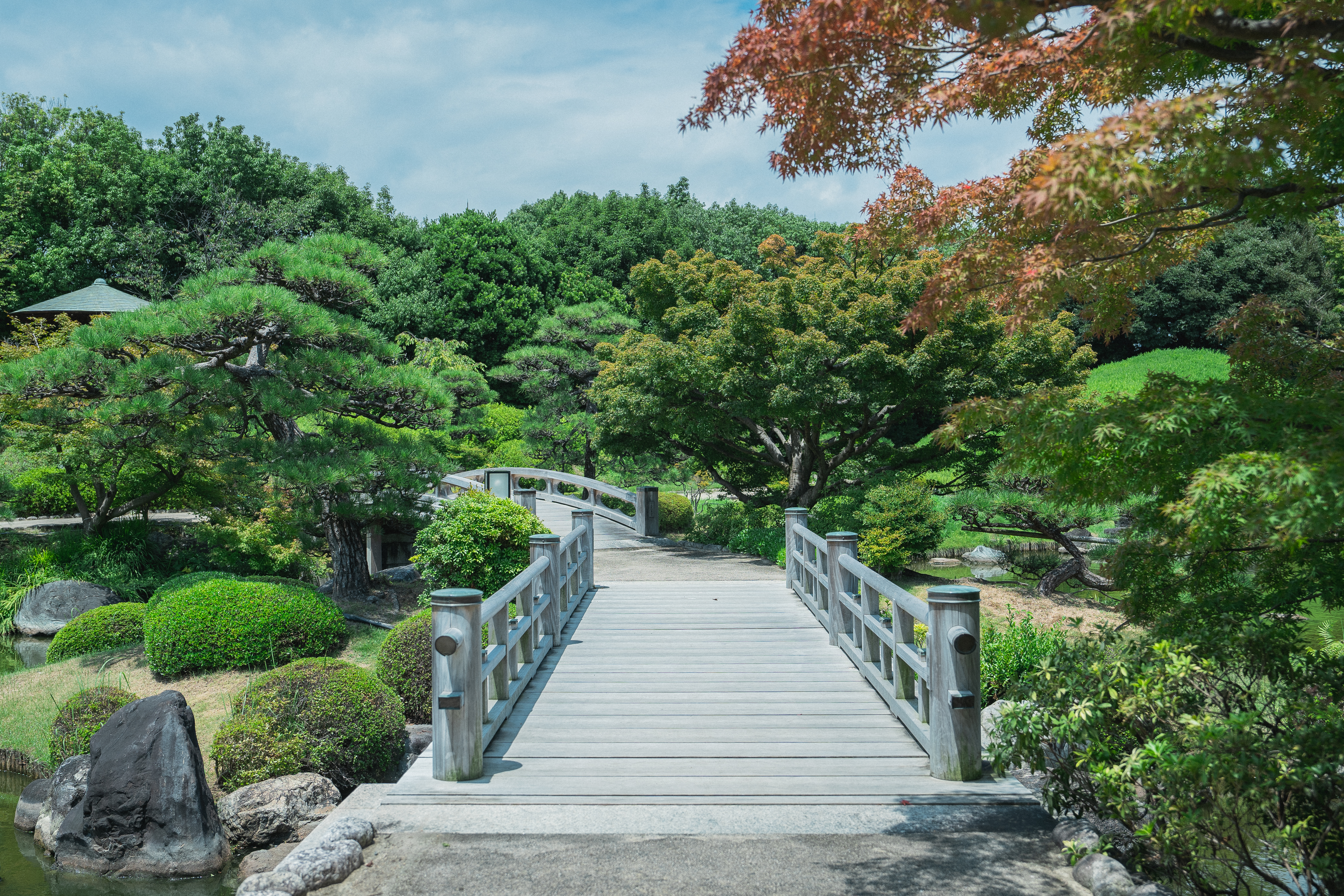 終了しました】庭園樹木ツアー④ | 大仙公園日本庭園