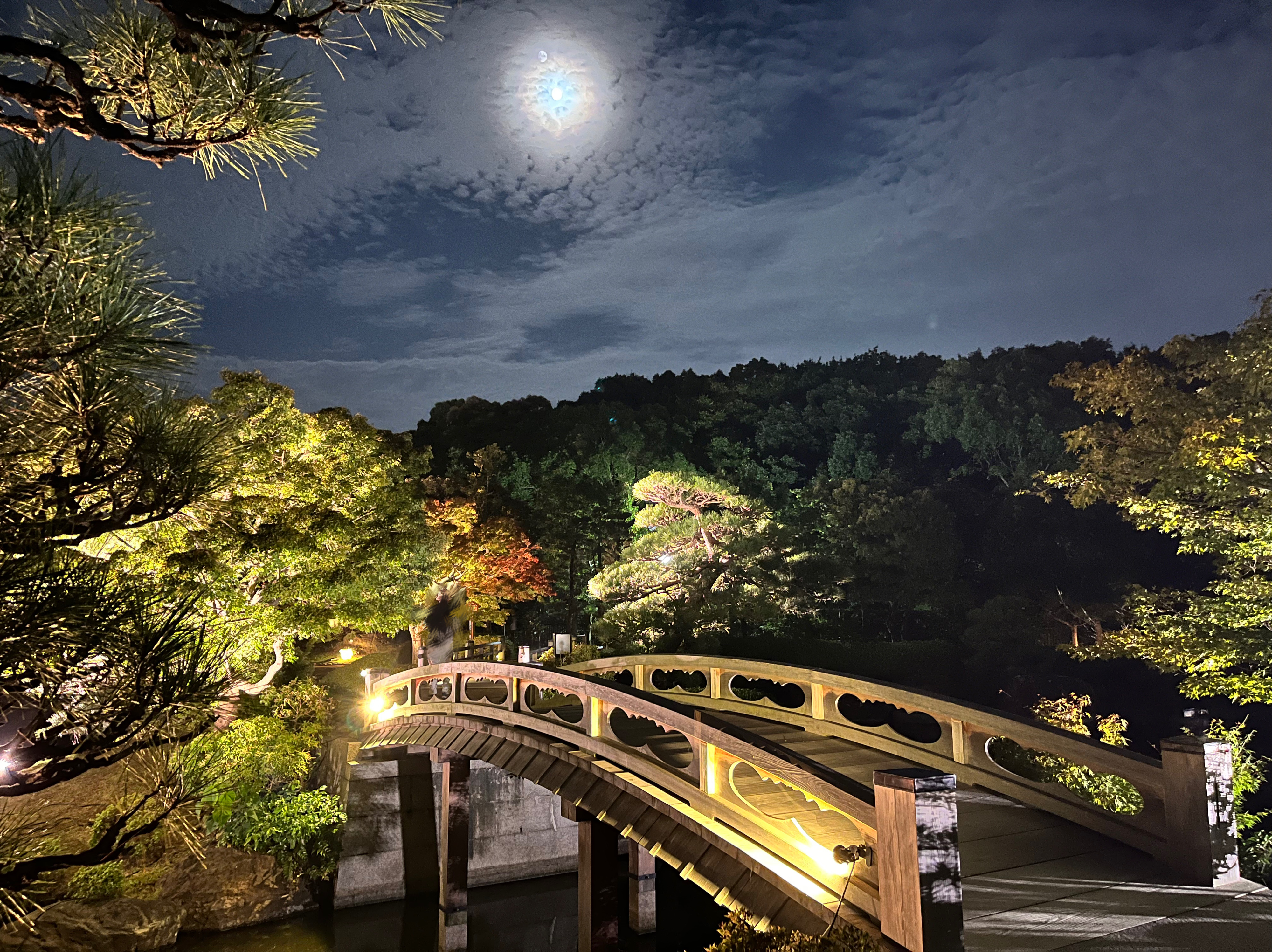 大仙公園日本庭園 夜間特別開園「観月の灯り」