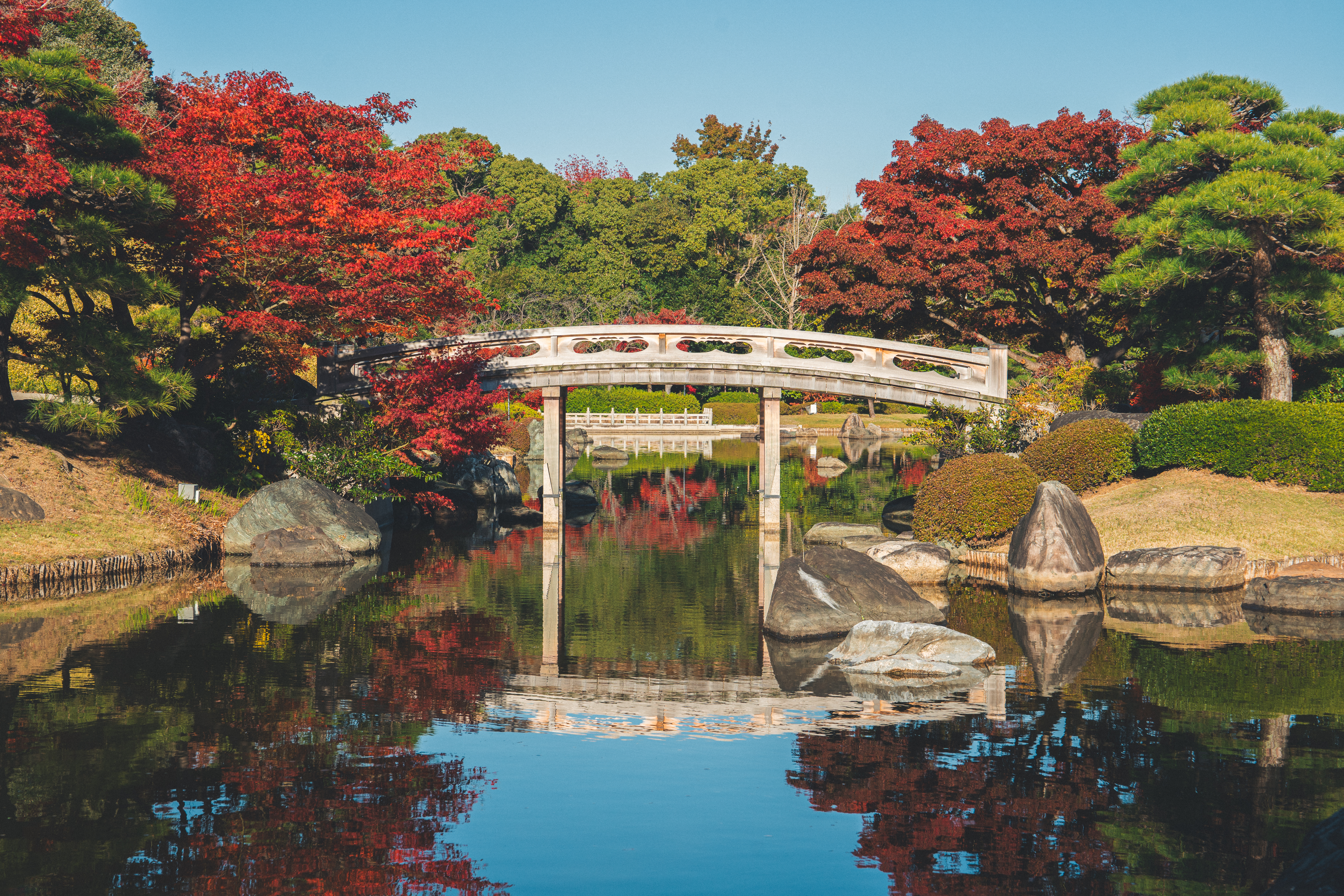 終了しました】第23回「関西文化の日」の協力について | 大仙公園日本庭園