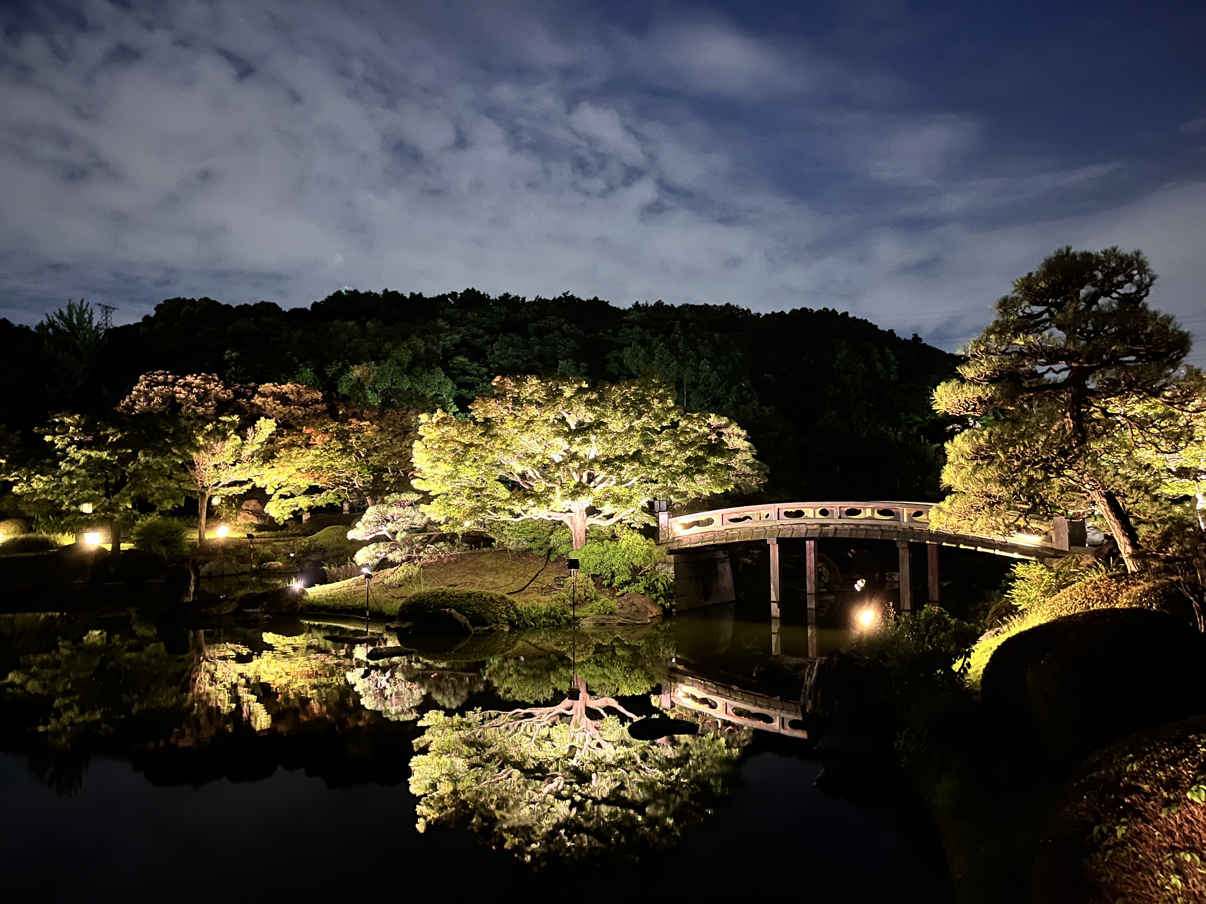 終了しました】夏季夜間特別開園 提灯の灯り | 大仙公園日本庭園