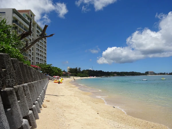 大満足の旅！🌺 2026年の社員旅行は沖縄へ〜！