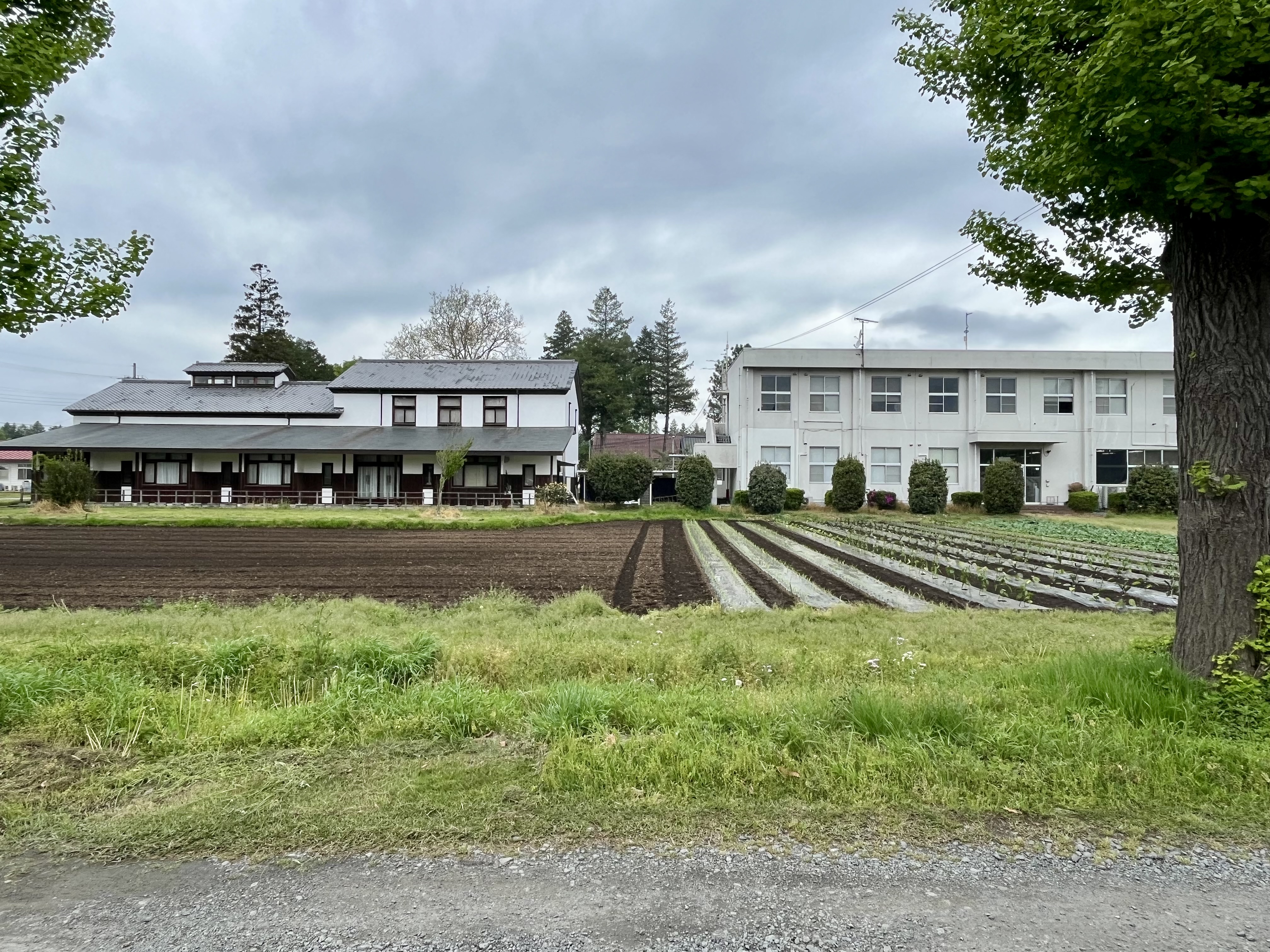鯉渕学園建造物