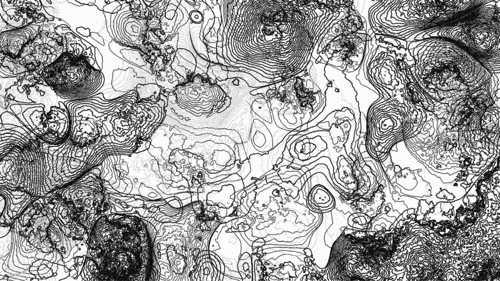 kusama0608flowers-A.jpg