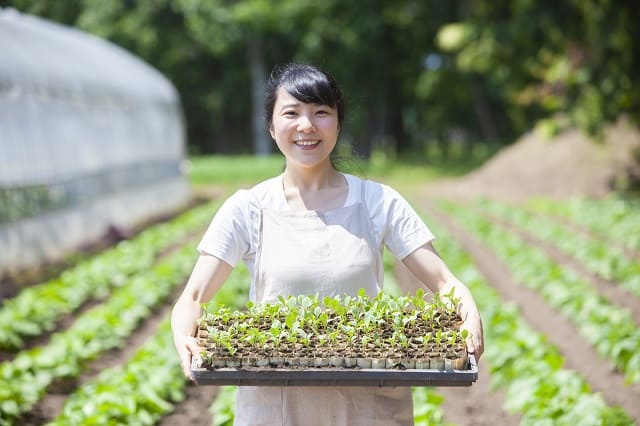 農業派遣におすすめの派遣会社、農業求人を探せる求人サイト