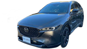 ＣＸ－８