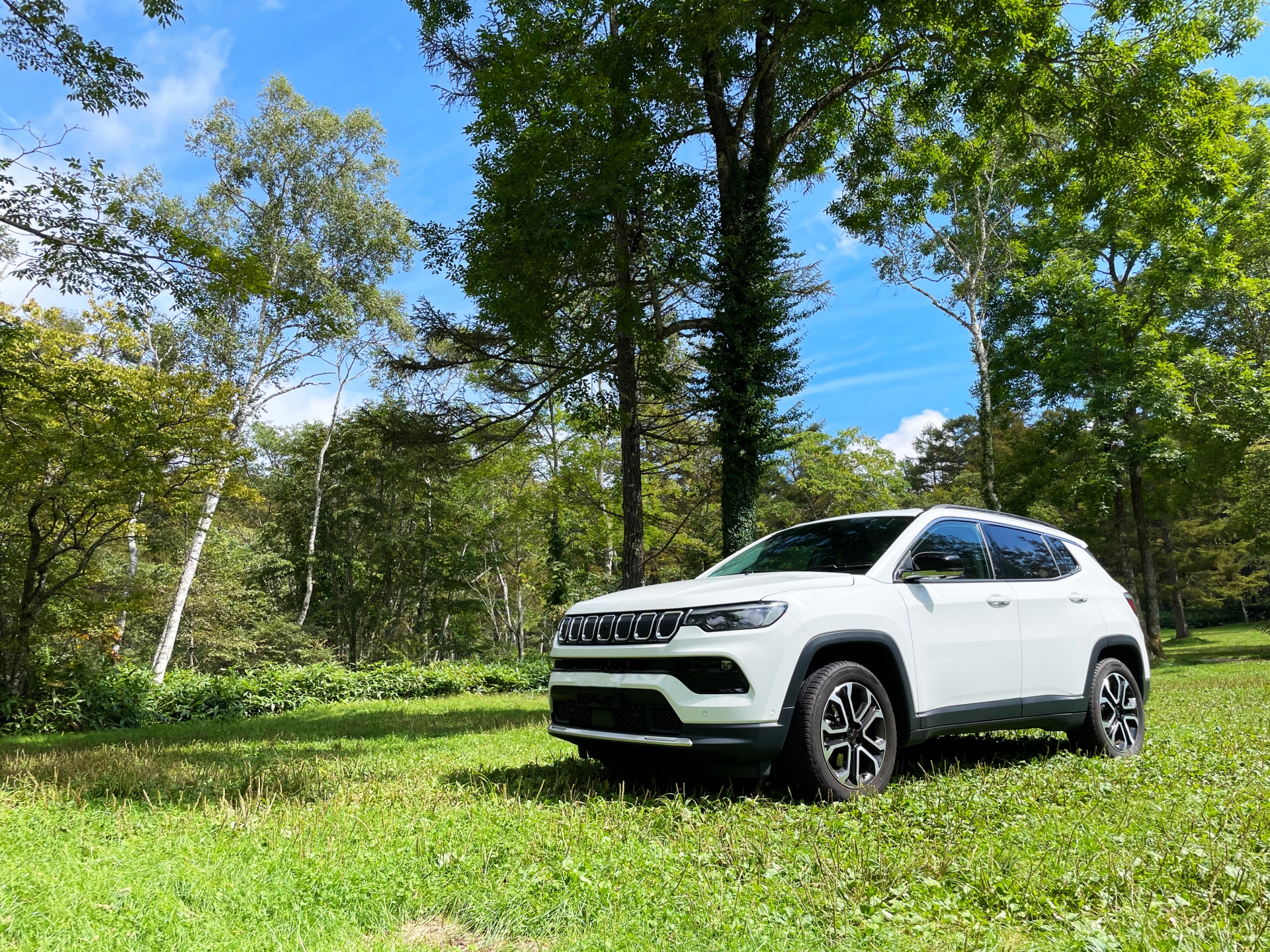 SUVの買取価格はなぜ高い？世界中で人気が続く理由も徹底解説