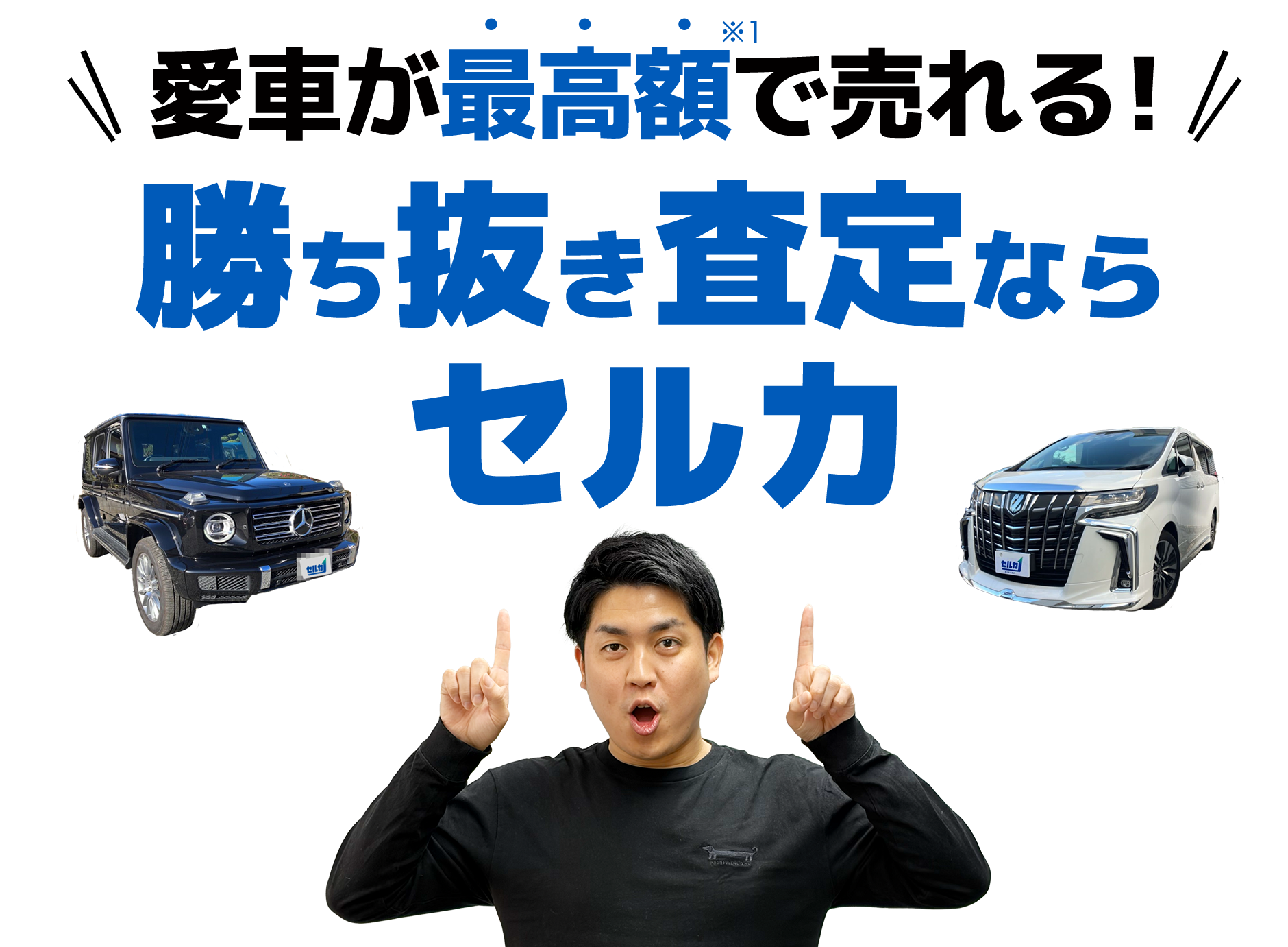 セルカメイン画像