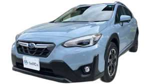 ＸＶ